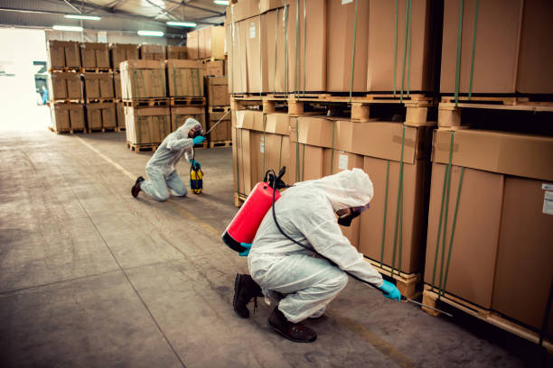 Best Bed Bug Extermination  in Bellview, FL