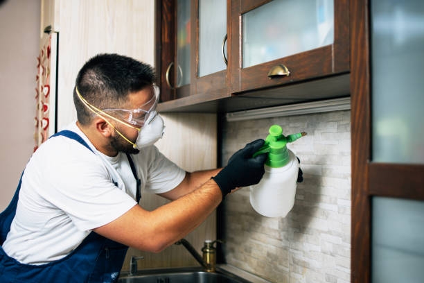 Pest Prevention Services in Bellview, FL