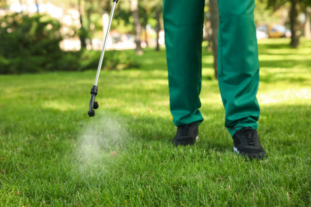 Best Affordable Pest Control Services  in Bellview, FL