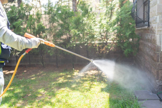 Best Cockroach Control Services  in Bellview, FL